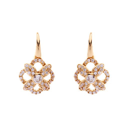 Harmony Gold Earrings