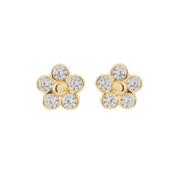Shiloh Gold Stud Earrings